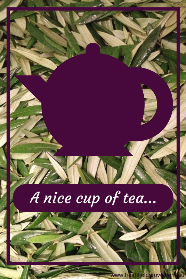 A nice cup of olive leaf tea